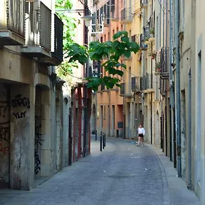 Housing Ginesta 9 Apartamento Girona